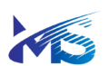 MS IT & Business Services