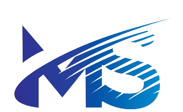 MS IT & Business Services